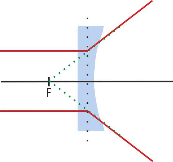 plcv_3.jpg